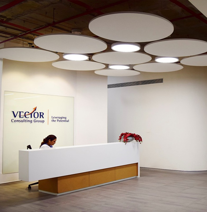 VECTOR CONSULTING